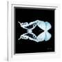 Miss Butterfly Duo Cloanthaea Sq - X-Ray Black Edition-Philippe Hugonnard-Framed Photographic Print