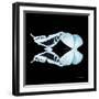 Miss Butterfly Duo Cloanthaea Sq - X-Ray Black Edition-Philippe Hugonnard-Framed Photographic Print