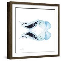 Miss Butterfly Duo Cloanthaea Sq - X-Ray White Edition-Philippe Hugonnard-Framed Photographic Print