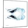 Miss Butterfly Duo Cloanthaea Sq - X-Ray White Edition-Philippe Hugonnard-Mounted Photographic Print