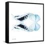 Miss Butterfly Duo Cloanthaea Sq - X-Ray White Edition-Philippe Hugonnard-Framed Stretched Canvas