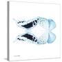 Miss Butterfly Duo Cloanthaea Sq - X-Ray White Edition-Philippe Hugonnard-Stretched Canvas