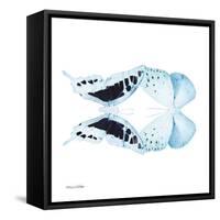 Miss Butterfly Duo Cloanthaea Sq - X-Ray White Edition-Philippe Hugonnard-Framed Stretched Canvas