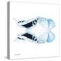 Miss Butterfly Duo Cloanthaea Sq - X-Ray White Edition-Philippe Hugonnard-Stretched Canvas