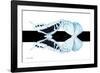 Miss Butterfly Duo Cloanthaea - X-Ray B&W Edition II-Philippe Hugonnard-Framed Photographic Print