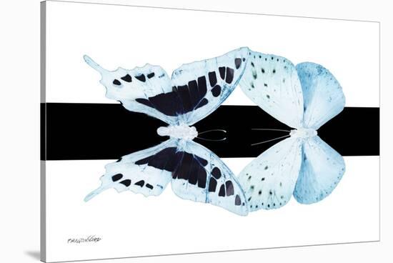 Miss Butterfly Duo Cloanthaea - X-Ray B&W Edition II-Philippe Hugonnard-Stretched Canvas