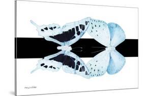 Miss Butterfly Duo Cloanthaea - X-Ray B&W Edition II-Philippe Hugonnard-Stretched Canvas