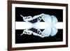 Miss Butterfly Duo Cloanthaea - X-Ray B&W Edition-Philippe Hugonnard-Framed Photographic Print