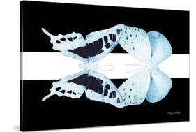 Miss Butterfly Duo Cloanthaea - X-Ray B&W Edition-Philippe Hugonnard-Stretched Canvas