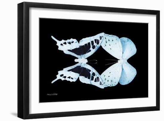 Miss Butterfly Duo Cloanthaea - X-Ray Black Edition-Philippe Hugonnard-Framed Photographic Print