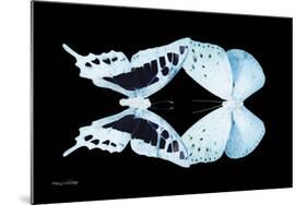 Miss Butterfly Duo Cloanthaea - X-Ray Black Edition-Philippe Hugonnard-Mounted Photographic Print