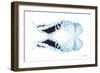 Miss Butterfly Duo Cloanthaea - X-Ray White Edition-Philippe Hugonnard-Framed Photographic Print