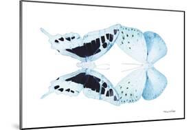 Miss Butterfly Duo Cloanthaea - X-Ray White Edition-Philippe Hugonnard-Mounted Photographic Print