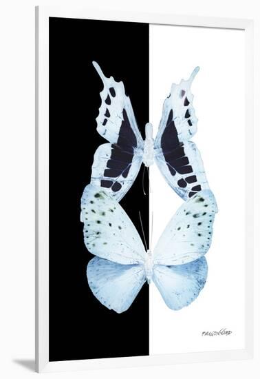 Miss Butterfly Duo Euploanthus II - X-Ray B&W Edition-Philippe Hugonnard-Framed Photographic Print