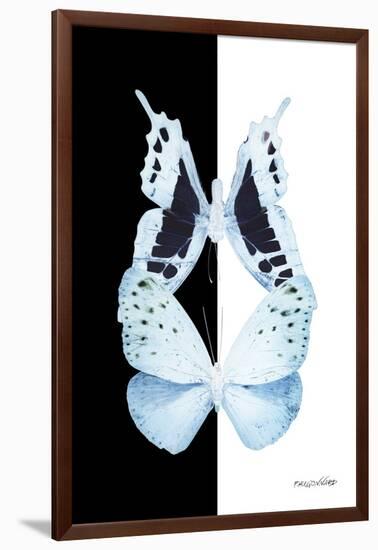 Miss Butterfly Duo Euploanthus II - X-Ray B&W Edition-Philippe Hugonnard-Framed Photographic Print