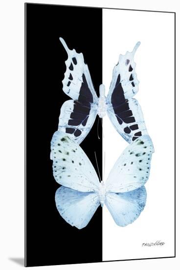 Miss Butterfly Duo Euploanthus II - X-Ray B&W Edition-Philippe Hugonnard-Mounted Premium Photographic Print