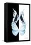 Miss Butterfly Duo Euploanthus II - X-Ray B&W Edition-Philippe Hugonnard-Framed Stretched Canvas