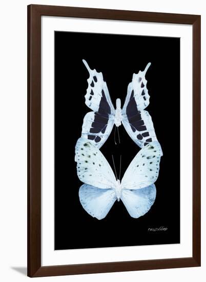 Miss Butterfly Duo Euploanthus II - X-Ray Black Edition-Philippe Hugonnard-Framed Premium Photographic Print