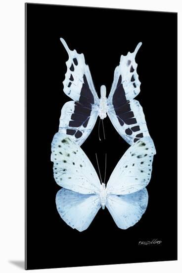 Miss Butterfly Duo Euploanthus II - X-Ray Black Edition-Philippe Hugonnard-Mounted Premium Photographic Print