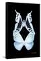 Miss Butterfly Duo Euploanthus II - X-Ray Black Edition-Philippe Hugonnard-Framed Stretched Canvas