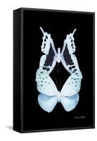 Miss Butterfly Duo Euploanthus II - X-Ray Black Edition-Philippe Hugonnard-Framed Stretched Canvas