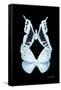 Miss Butterfly Duo Euploanthus II - X-Ray Black Edition-Philippe Hugonnard-Framed Stretched Canvas