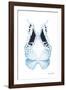 Miss Butterfly Duo Euploanthus II - X-Ray White Edition-Philippe Hugonnard-Framed Photographic Print