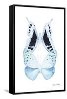 Miss Butterfly Duo Euploanthus II - X-Ray White Edition-Philippe Hugonnard-Framed Stretched Canvas