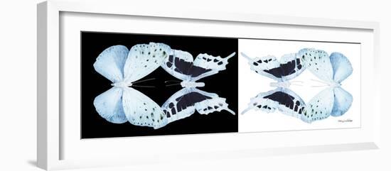 Miss Butterfly Duo Euploanthus Pan - X-Ray B&W Edition-Philippe Hugonnard-Framed Photographic Print