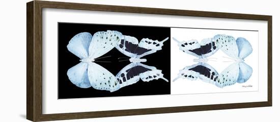 Miss Butterfly Duo Euploanthus Pan - X-Ray B&W Edition-Philippe Hugonnard-Framed Photographic Print