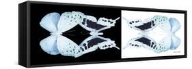 Miss Butterfly Duo Euploanthus Pan - X-Ray B&W Edition-Philippe Hugonnard-Framed Stretched Canvas