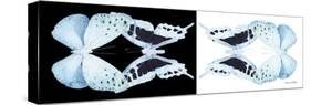 Miss Butterfly Duo Euploanthus Pan - X-Ray B&W Edition-Philippe Hugonnard-Stretched Canvas