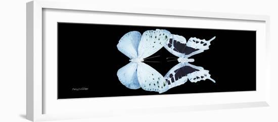 Miss Butterfly Duo Euploanthus Pan - X-Ray Black Edition-Philippe Hugonnard-Framed Photographic Print