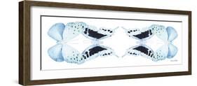 Miss Butterfly Duo Euploanthus Pan - X-Ray White Edition II-Philippe Hugonnard-Framed Photographic Print