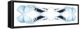 Miss Butterfly Duo Euploanthus Pan - X-Ray White Edition II-Philippe Hugonnard-Framed Stretched Canvas