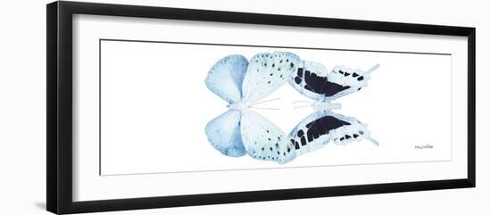 Miss Butterfly Duo Euploanthus Pan - X-Ray White Edition-Philippe Hugonnard-Framed Photographic Print