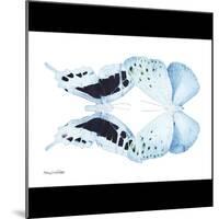 Miss Butterfly Duo Euploanthus Sq - X-Ray B&W Edition-Philippe Hugonnard-Mounted Photographic Print