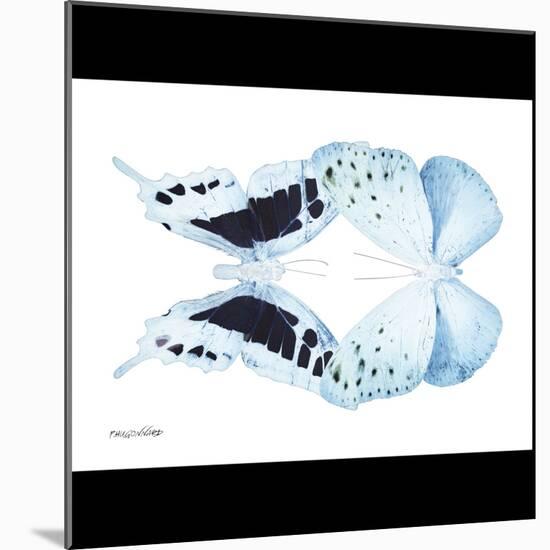 Miss Butterfly Duo Euploanthus Sq - X-Ray B&W Edition-Philippe Hugonnard-Mounted Photographic Print