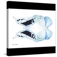 Miss Butterfly Duo Euploanthus Sq - X-Ray B&W Edition-Philippe Hugonnard-Stretched Canvas