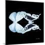 Miss Butterfly Duo Euploanthus Sq - X-Ray Black Edition-Philippe Hugonnard-Mounted Photographic Print