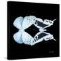 Miss Butterfly Duo Euploanthus Sq - X-Ray Black Edition-Philippe Hugonnard-Stretched Canvas