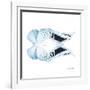 Miss Butterfly Duo Euploanthus Sq - X-Ray White Edition-Philippe Hugonnard-Framed Photographic Print