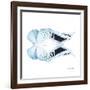 Miss Butterfly Duo Euploanthus Sq - X-Ray White Edition-Philippe Hugonnard-Framed Photographic Print