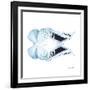 Miss Butterfly Duo Euploanthus Sq - X-Ray White Edition-Philippe Hugonnard-Framed Photographic Print