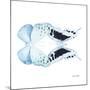 Miss Butterfly Duo Euploanthus Sq - X-Ray White Edition-Philippe Hugonnard-Mounted Photographic Print