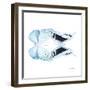 Miss Butterfly Duo Euploanthus Sq - X-Ray White Edition-Philippe Hugonnard-Framed Photographic Print