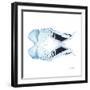 Miss Butterfly Duo Euploanthus Sq - X-Ray White Edition-Philippe Hugonnard-Framed Photographic Print