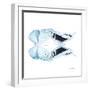 Miss Butterfly Duo Euploanthus Sq - X-Ray White Edition-Philippe Hugonnard-Framed Photographic Print