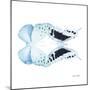 Miss Butterfly Duo Euploanthus Sq - X-Ray White Edition-Philippe Hugonnard-Mounted Photographic Print