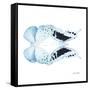 Miss Butterfly Duo Euploanthus Sq - X-Ray White Edition-Philippe Hugonnard-Framed Stretched Canvas
